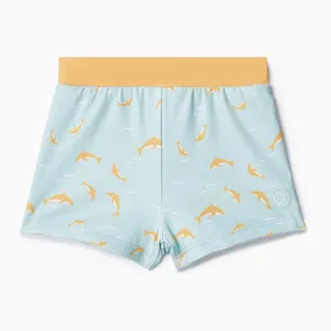 Dolphin Swim Shorts