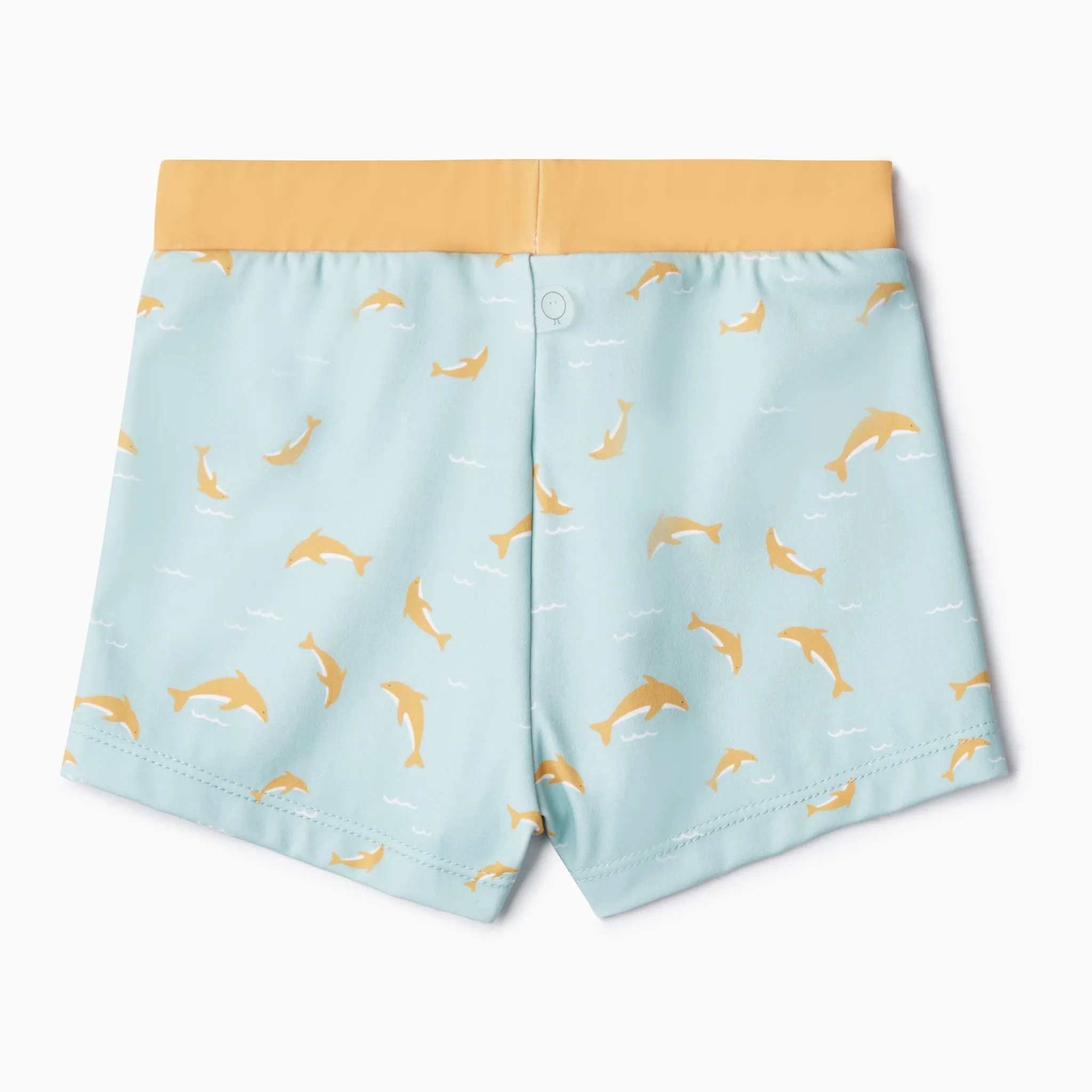 Dolphin Swim Shorts