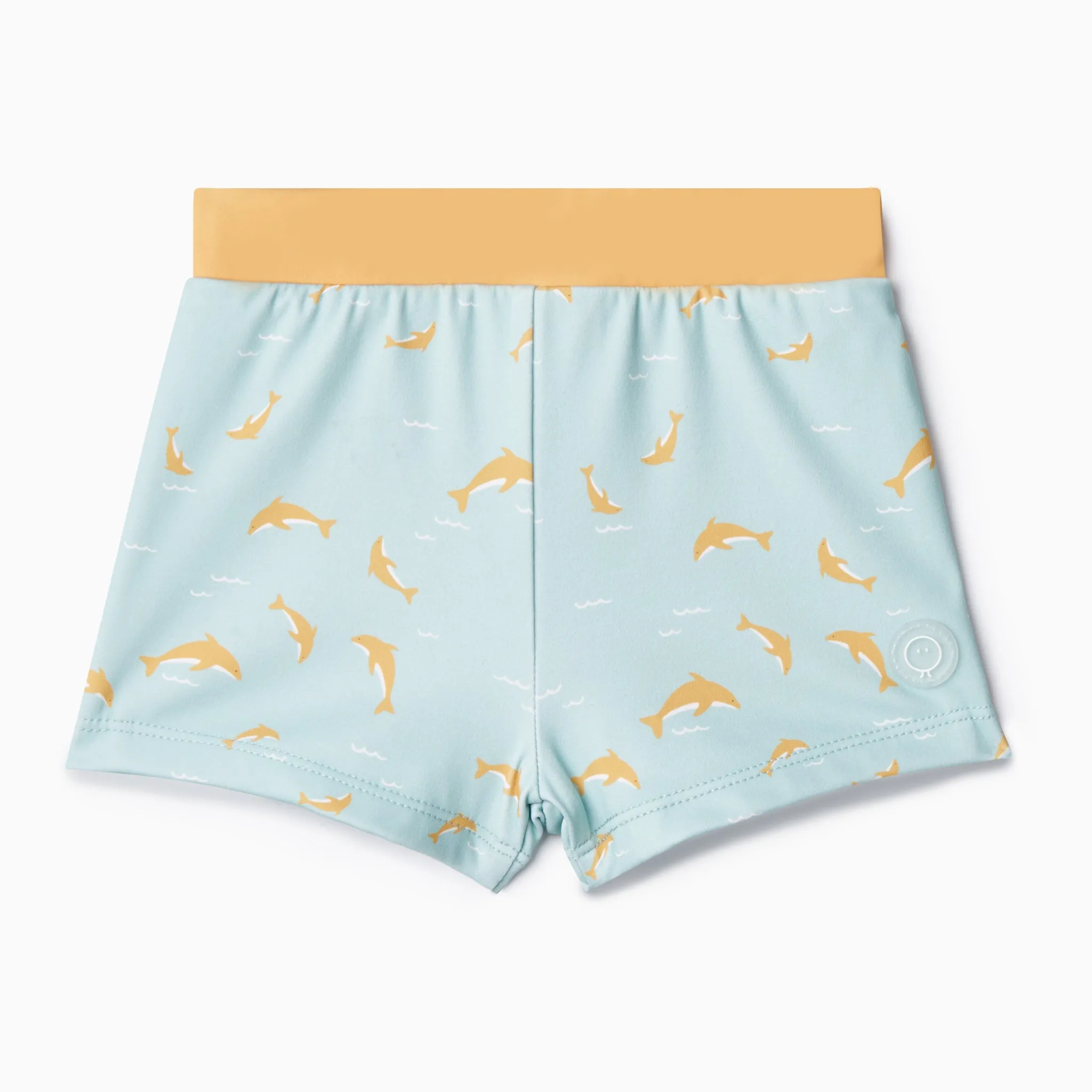 Dolphin Swim Shorts